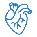 Cardiology