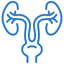 Urology